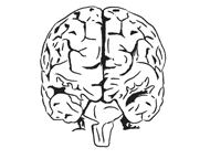 Left Brain/Right Brain