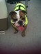 Mila In Costume